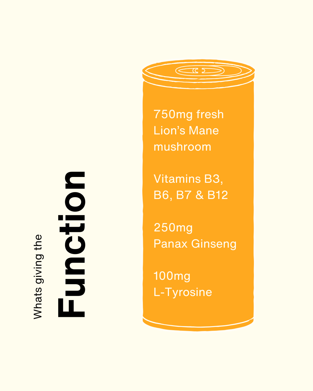 OOM Focus (12 Pack)